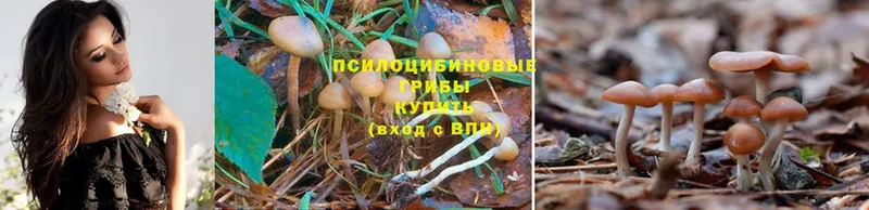 Галлюциногенные грибы MAGIC MUSHROOMS  Искитим 